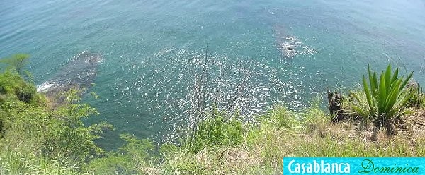 the sea below - ideal for snorkelling