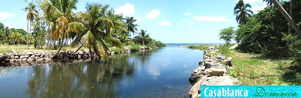Macoucherie River estuary