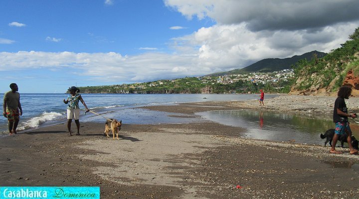 Beach at the mouth of the Macoucherie River