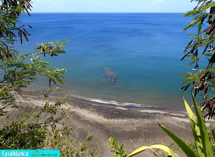 Sea view West from Casablanca garden